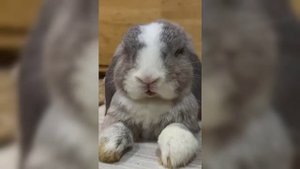 Спокойной ночи