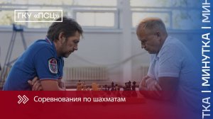 Шахматы