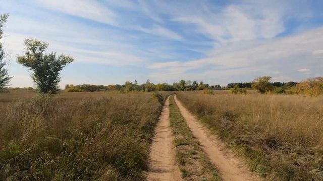 Золотая осень. 😊