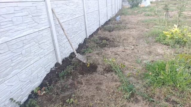 12-09-2025Крым.