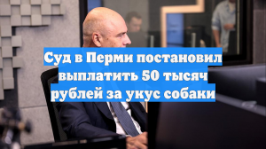 Суд в Перми постановил выплатить 50 тысяч рублей за укус собаки