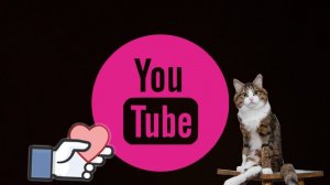 Кот смотрит ютуб