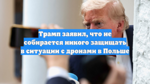 Трамп заявил, что не собирается никого защищать в ситуации с дронами в Польше