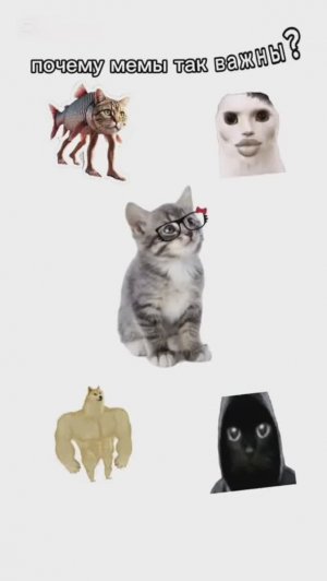 КИСЫ ОБЪЯСНЯЮТ / Что такое Депрессия? / Почему Мемы Так Важны? / Почему Лениться Это хорошо?