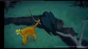 Мои любимые мапы