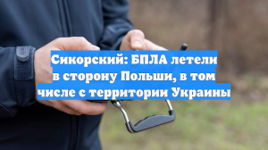 Сикорский: БПЛА летели в сторону Польши, в том числе с территории Украины