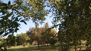 Парк  да и  не парк