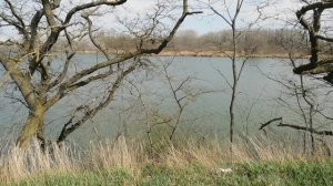 16--03--2025  ПРОГУЛКА   (36)