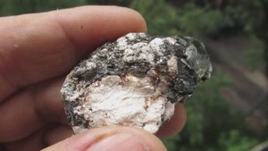 Циркон купить