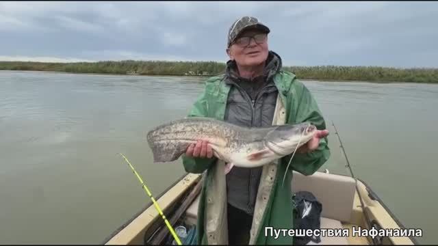 ☀️Ах! Эта Астрахань!🌺 Сегодня ловим сома! 👍Путешествия Нафанаила
