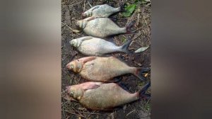 Пора на рыбалку