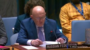 В.А.Небензя по проекту санкционной резолюции Совета Безопасности ООН по суданскому Дарфуру 12.09.25