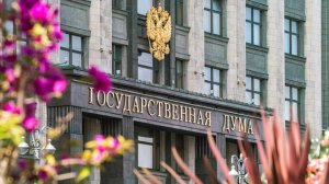 В Госдуме отреагировали на критику БРИКС в США