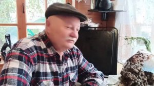 курятник без крыс