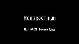 «НЕИЗВЕСТНЫЙ».  Поэт БАСЯ ¦ Божена Доду.