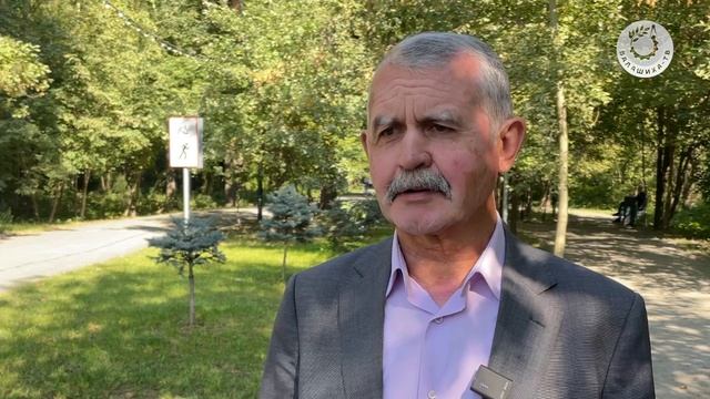 Парки в лесу