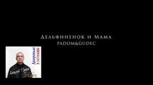 Дельфиненок. Акустическая версия