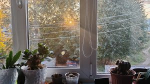 вечер в деревне