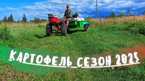 Убийственный УРОЖАЙ КАРТОФЕЛЯ сезон 2025! Такой КОПКИ КАРТОШКИ я ещё НЕ ВИДЕЛ! Сорт КОРОЛЕВА АННА!