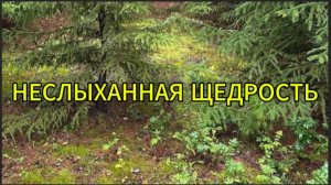 Неслыханная щедрость