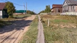 В Мурманскую область в отпуск. 05.09.2025 . Кузомень (ударение на первый слог). Прогулка по деревне