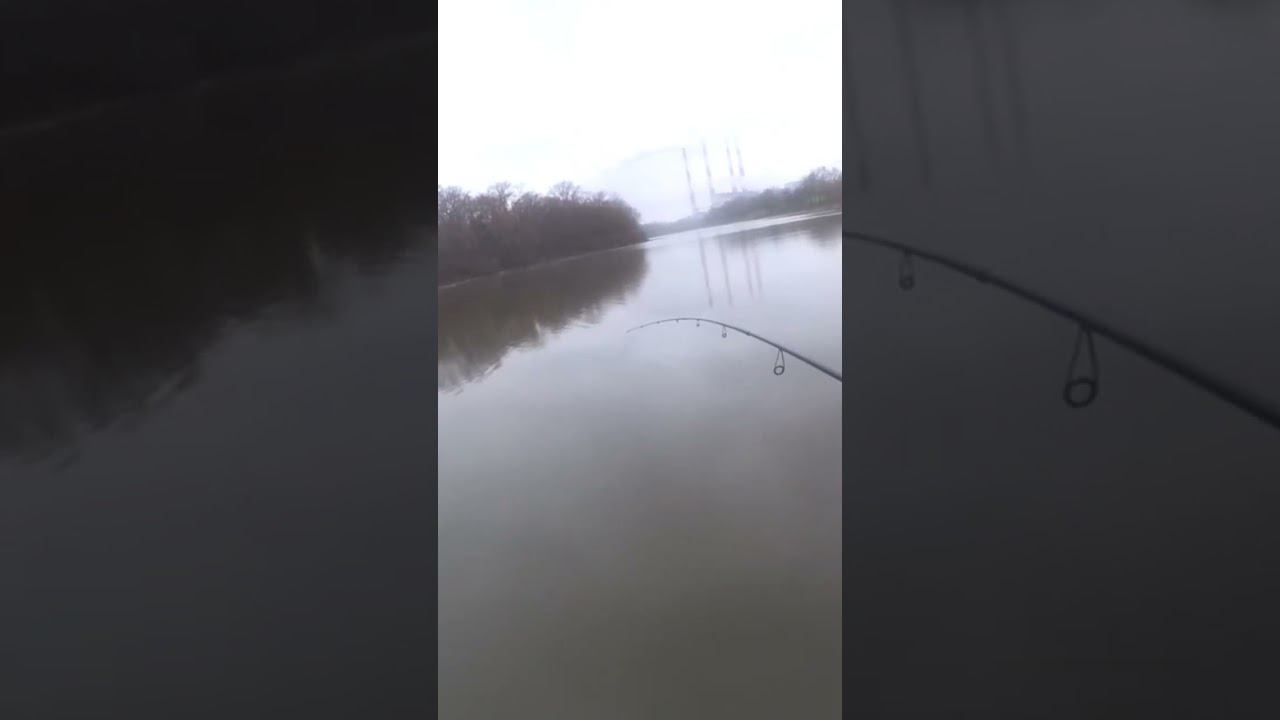 щука не хочет сдаваться #рыбалка #спиннинг #shorts смотреть онлайн