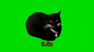 Кот максвел танцует на разных скоростях