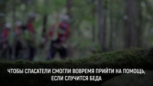 тургруппы (1)