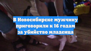 В Новосибирске мужчину приговорили к 16 годам за убийство младенца