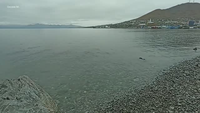 Авачинская бухта. Петропавловск-Камчатский