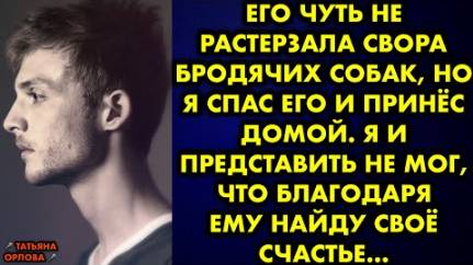 Его чуть не растерзала свора бродячих собак, но я спас его и принёс домой. Я и представить не мог...