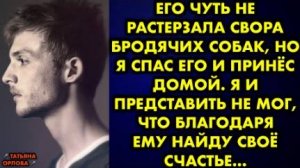 Его чуть не растерзала свора бродячих собак, но я спас его и принёс домой. Я и представить не мог...