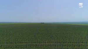 Глава КЧР Р. Темрезов обсудил с руководителем Минсельхоза РФ Оксаной Лут перспективы АПК Карачаев