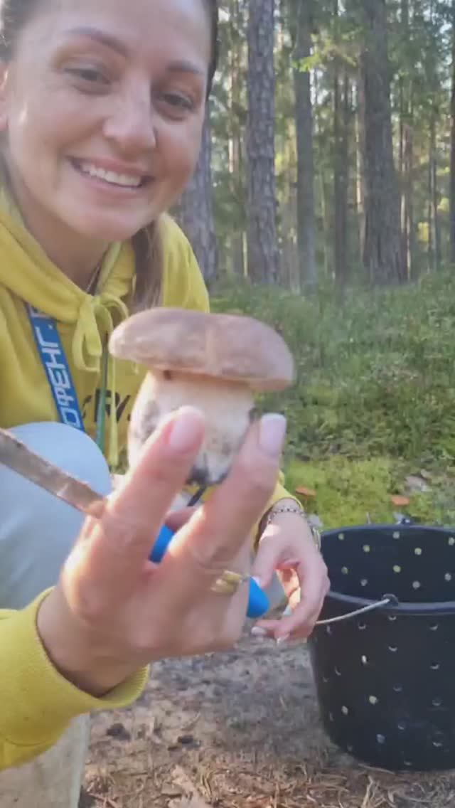 поймала ГРИБНУЮ ВОЛНУ. Белые грибы кругом и ГРИБНИКИ счастливы. смотреть онлайн