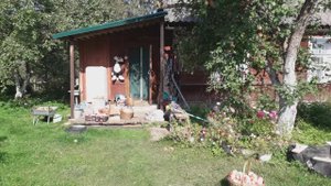 Яблочные ковры в Луге. Куда поехать с детьми на природу, полакомиться фермерскими продуктами.