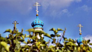 Порядок и успех в нашей жизни.Христианские Проповеди ( Шевченко А)