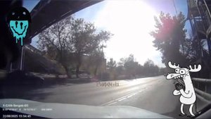 ну нет мозгов, что здесь поделать