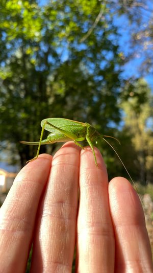 Старт подготовительным работам перед строительством дома! 🚀