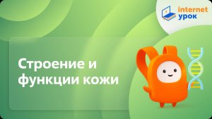 Строение и функции кожи. Видеоурок по биологии 8 класс