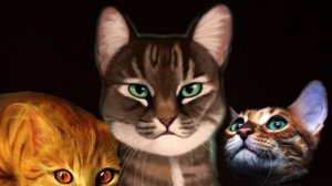 коты ютуберы канал