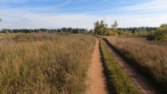 Поездка к селу Новосклюиха.(Часть №1.)😊