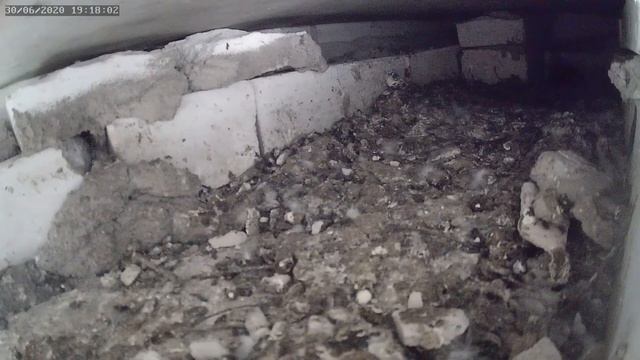 Призрак эпично материализовался - The ghost materialized epically смотреть онлайн