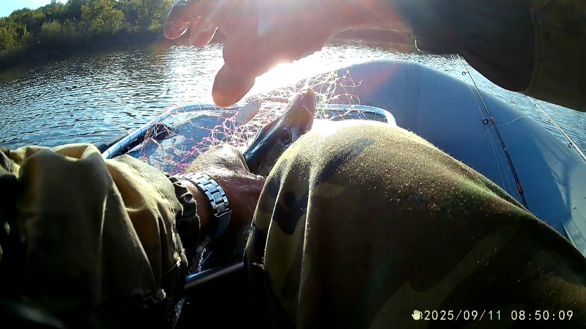 2025-09-11 Без зевника рыбачить небезопасно