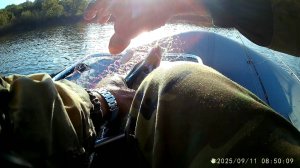 2025-09-11 Без зевника рыбачить небезопасно