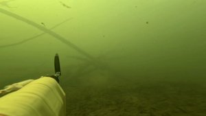 прозрак_радует