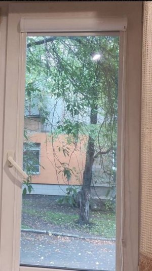 Современные рулонные шторы не только украшение окна, но и функциональный элемент. Стильный декор.