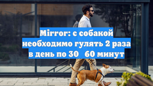 Mirror: с собакой необходимо гулять 2 раза в день по 30‑60 минут