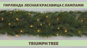 Triumph Tree - ОБЗОР хвойной гирлянды Лесная красавица зелёная с лампами