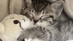 Прогулка с нашей семьей😊🥰🌹☺ Аватар Ворлд