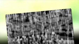 Amure - Night History